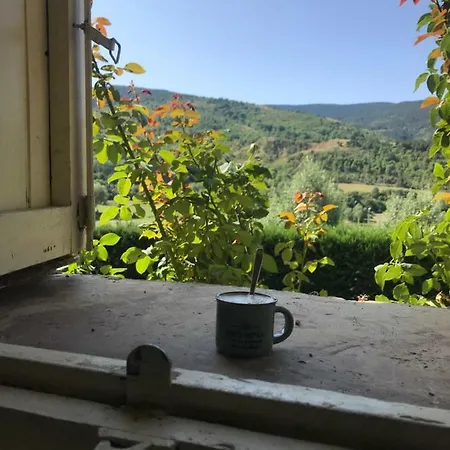 Meson Du Bonheur